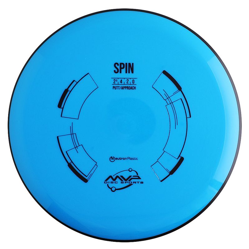 Neutron Spin