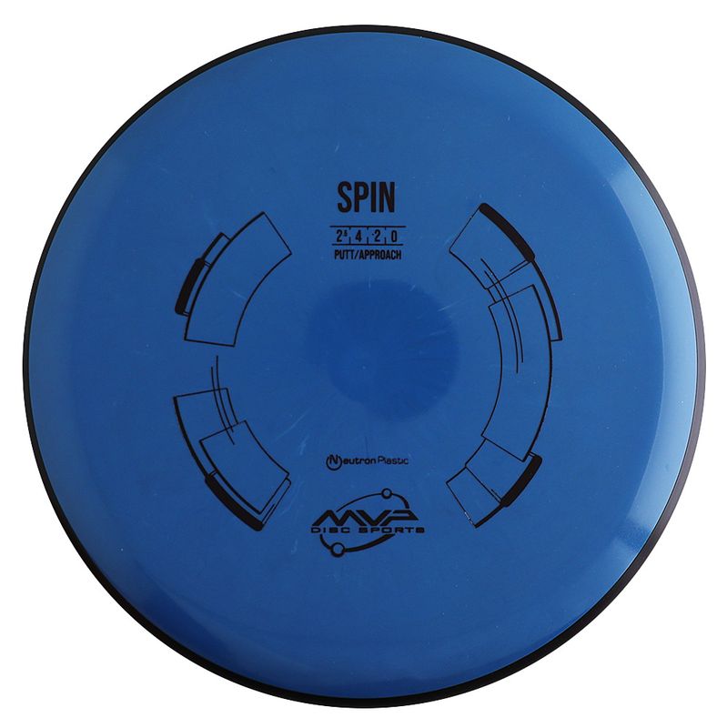 Neutron Spin